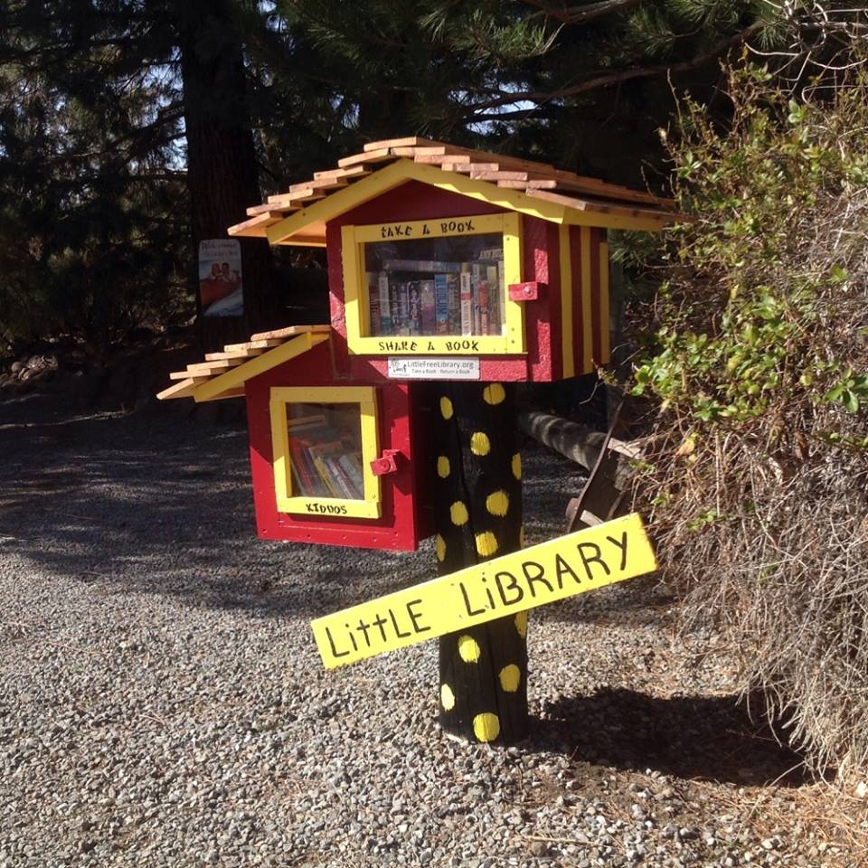 Little Free Library5